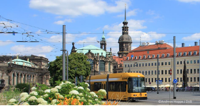 Eine gelbe Straßenbahn fährt durch die Dresdner Altstadt.
